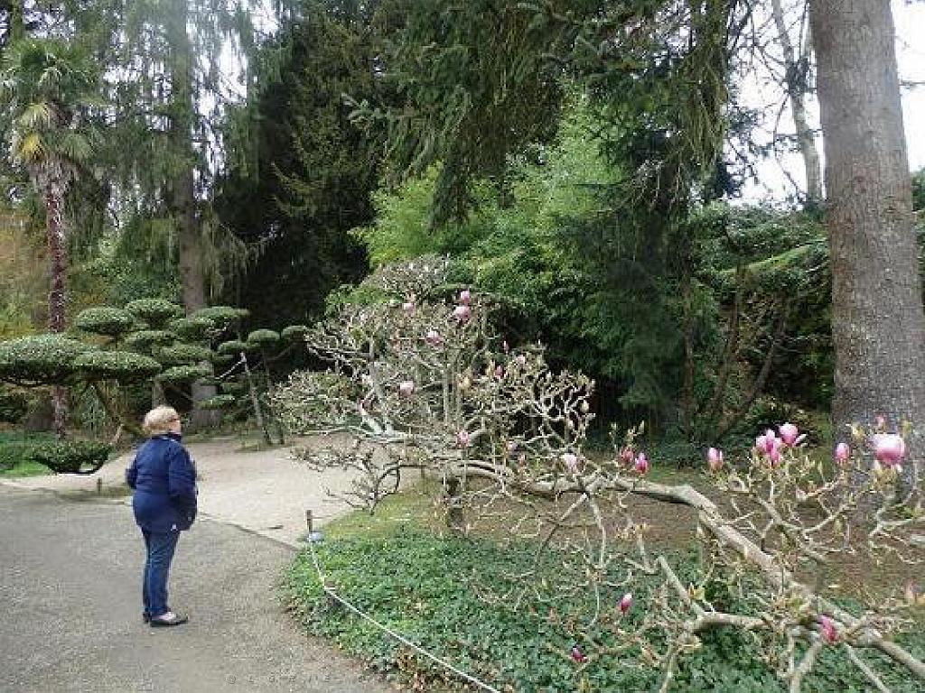 149 PARC ORIENTAL DE MAULEVIER MAINE ET LOIRE 2016 N1_000006.jpg